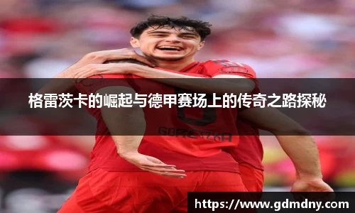 格雷茨卡的崛起与德甲赛场上的传奇之路探秘